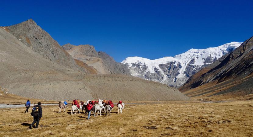 Lower Dolpo Trek